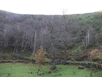 nte Mojo-30122011 041